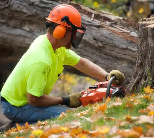 tree services Foxworth